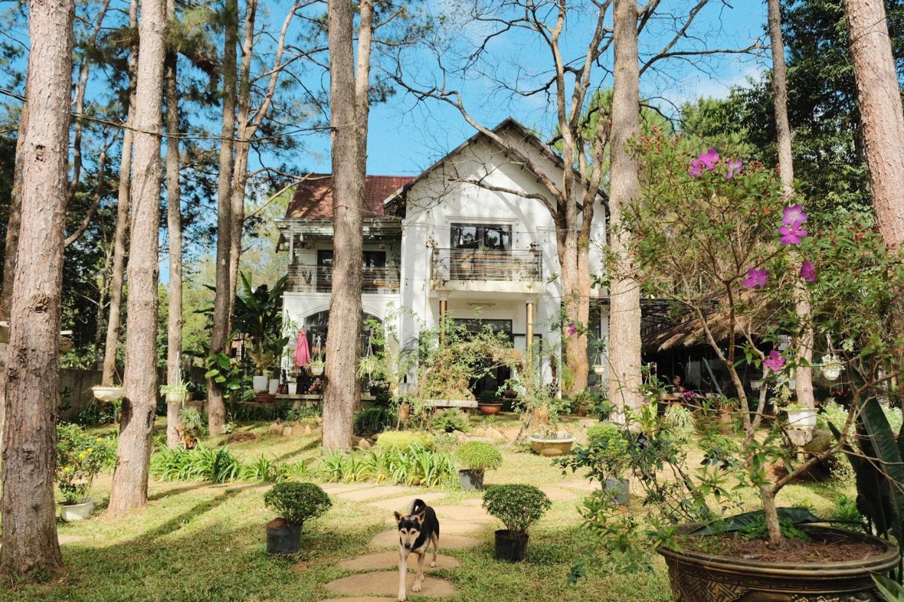 S'Nghe Homestay Mang Den Kon Von Kla Ngoại thất bức ảnh