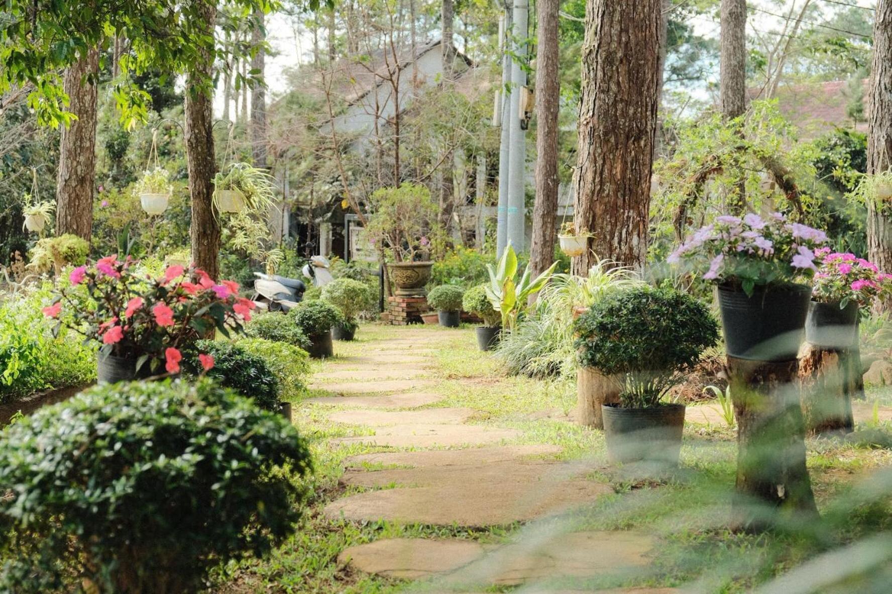 S'Nghe Homestay Mang Den Kon Von Kla Ngoại thất bức ảnh