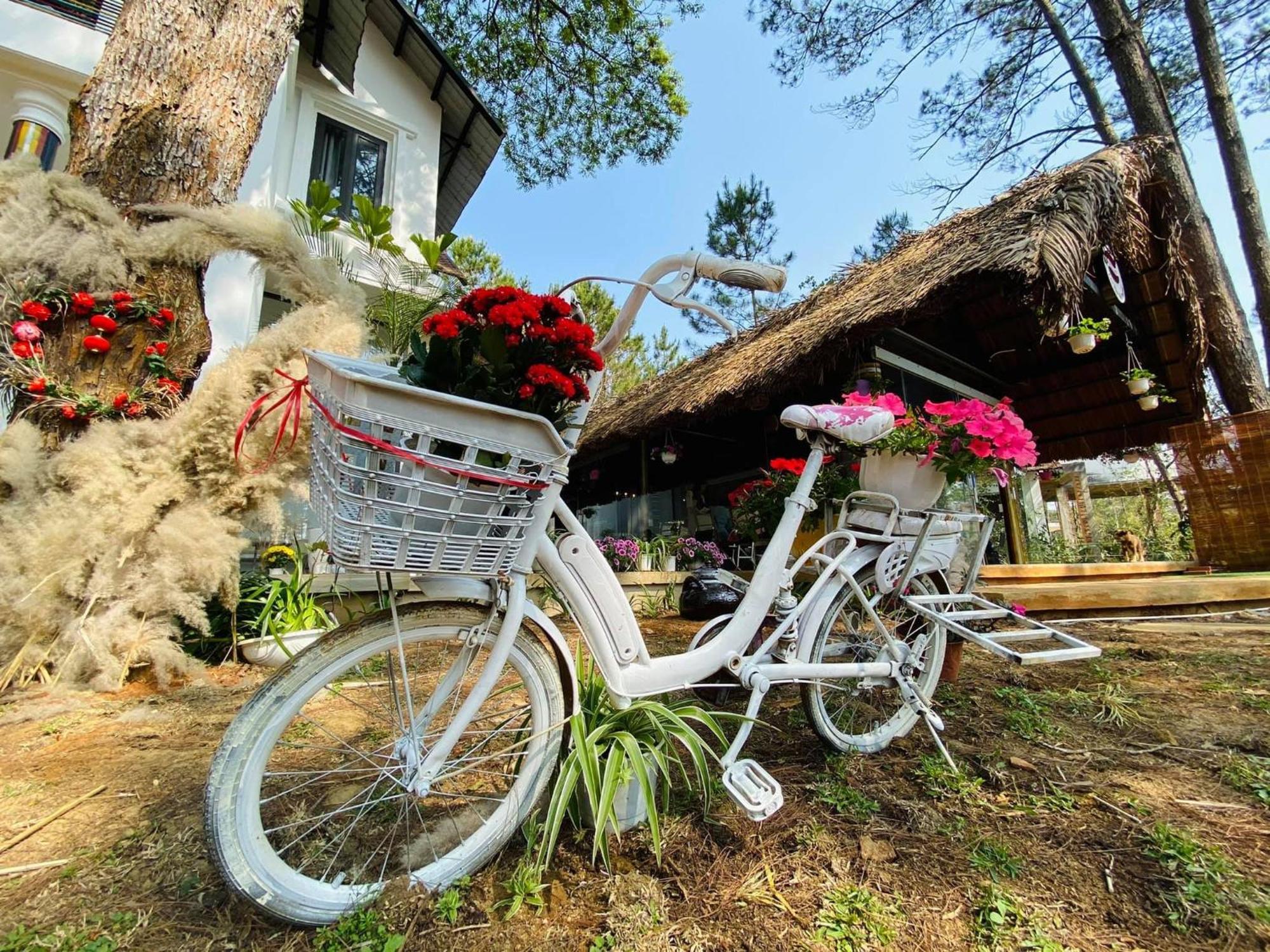 S'Nghe Homestay Mang Den Kon Von Kla Ngoại thất bức ảnh